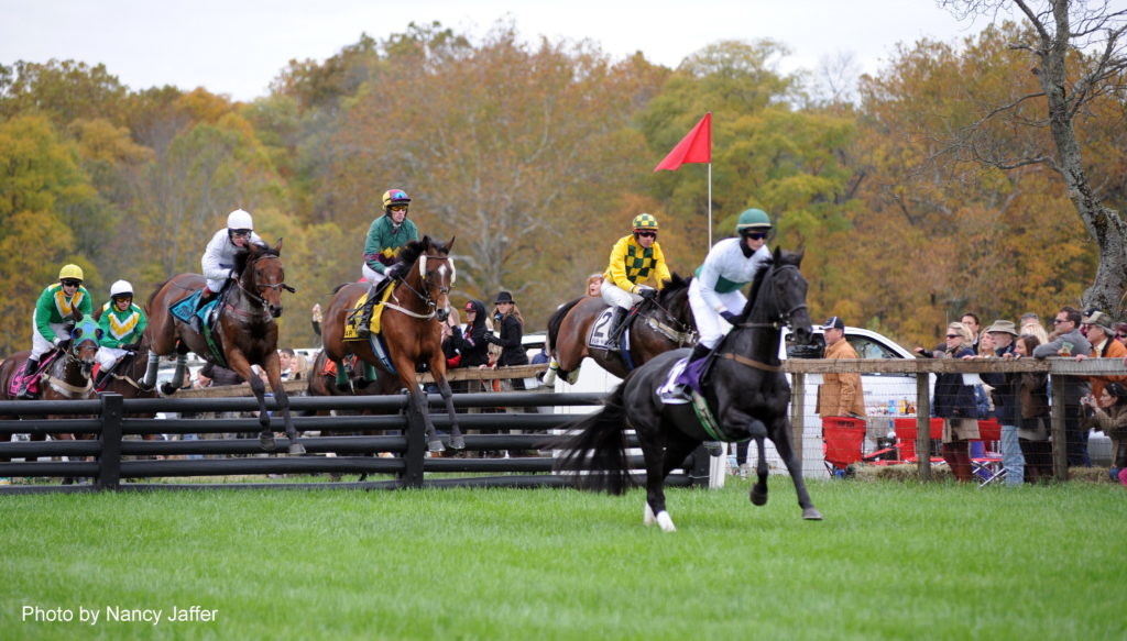 Aaand they're on-the Far Hills Race Meeting is set to run - Nancy ...