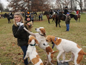 essex-foxhounds-thanksgiving-hunt-nov-24-no-9276-more-foxhound-love-300dpi