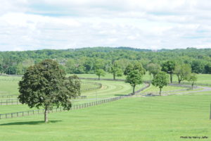 All is ready for the exciting return of the Essex Horse Trials in Somerset County