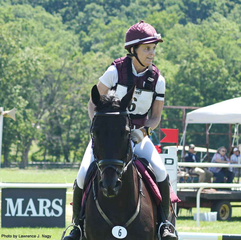 click to enlarge photo essex-horse-trials
