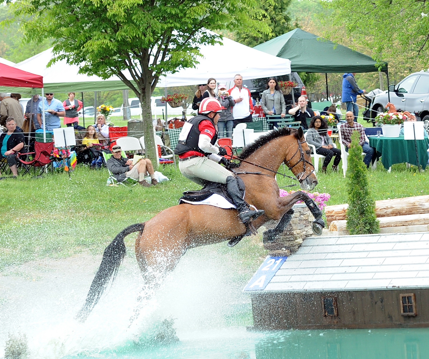 Time is running out: Step up before June 30 for the Horse Park of New Jersey