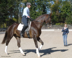 Program in Gladstone aimed at helping dressage riders step up to the podium