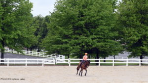Jersey Fresh and the Horse Park are making it all work out