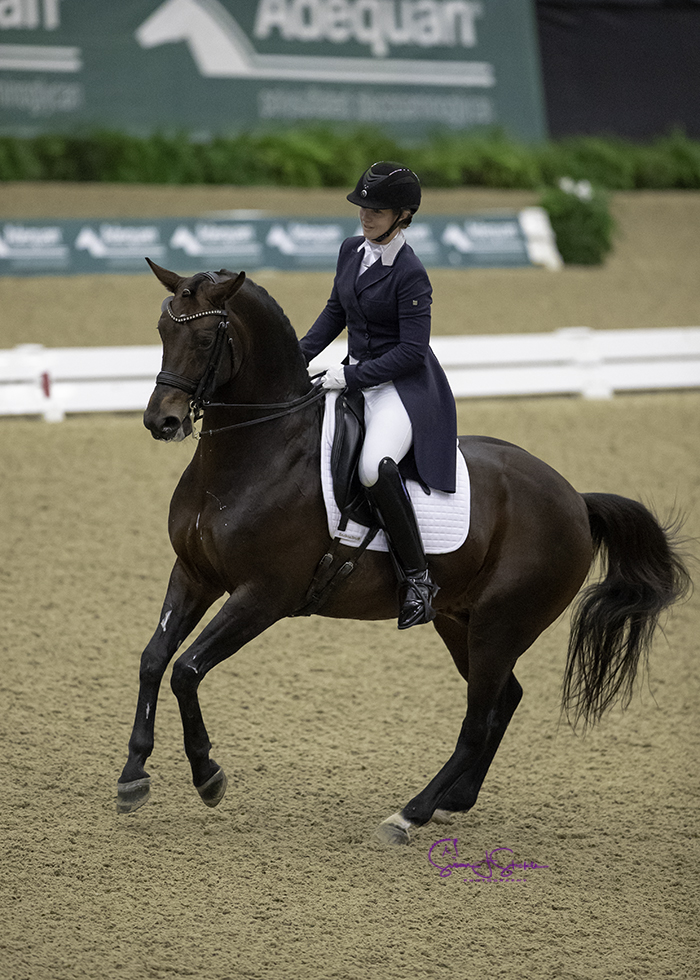 Jerseyans were stars at the dressage championships in Kentucky