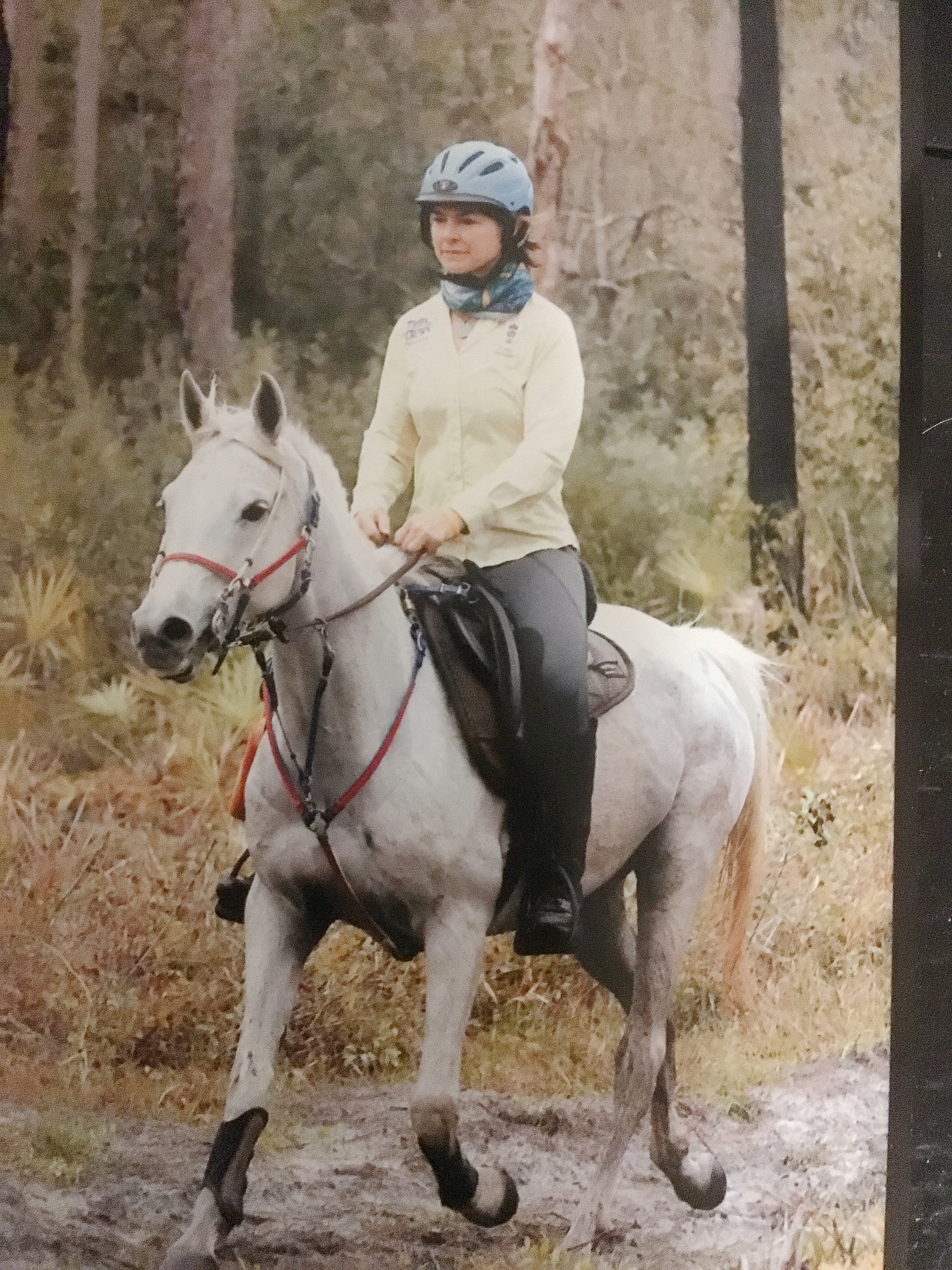 It’s a triple header for Kingwood Township endurance rider