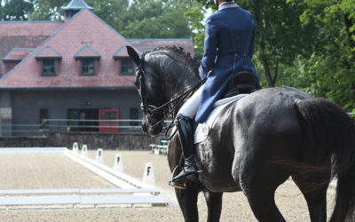 The Dressage Days of Summer