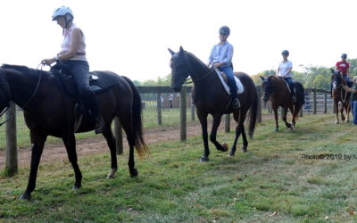 You can weigh in on the future of Lord Stirling Stable