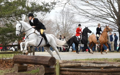 Essex Fox Hounds are a draw for Thanksgiving