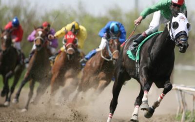 Rutgers Equine Science Center makes strides with its landmark research