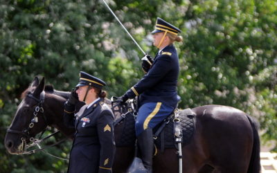 An equine soldier is home for good