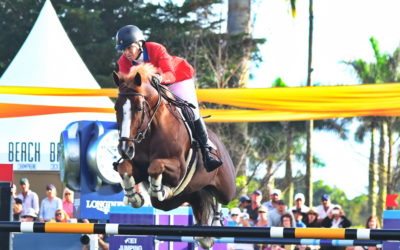 Things were jumping in Wellington