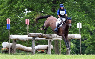 Eventing at the Horse Park in the era of Covid-19