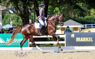 Hunterdon County dressage riders are tops at national championships