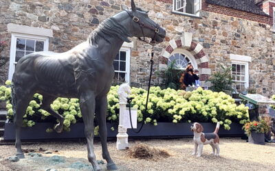 Take a break from your show horse with a visit to a show house