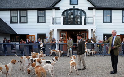 Learning about foxhounds from the experts