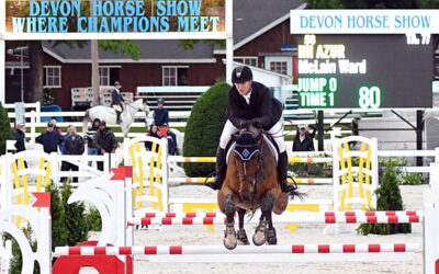Disaster. Devon Horse Show cancelled