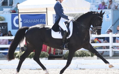 Another honor for Candescent; she’s on the dressage short list–UPDATED