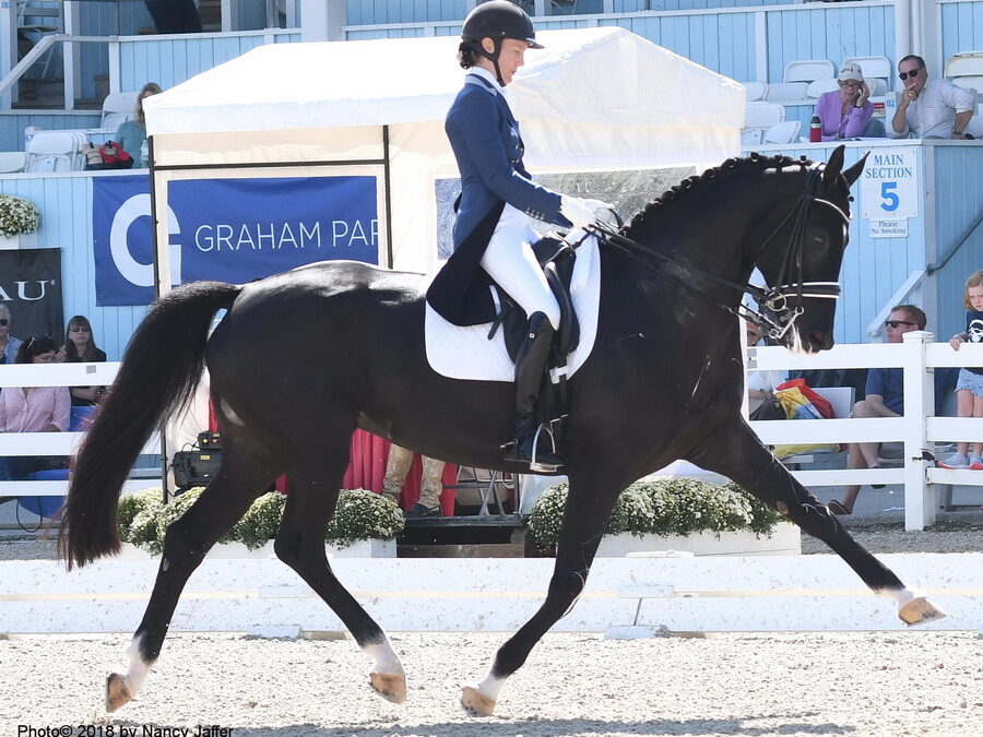 Another honor for Candescent; she’s on the dressage short list–UPDATED
