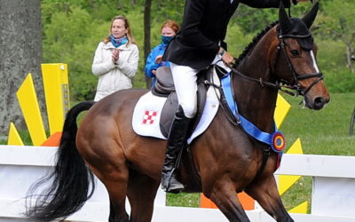 Boyd Martin does it again