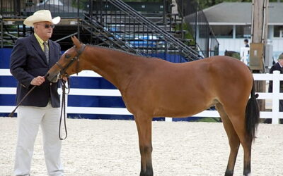 A third pillar of the equestrian community, Ray Francis, has died during a tearful week