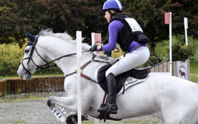 Charm King ruled at the Horse Park, but the best is yet to come