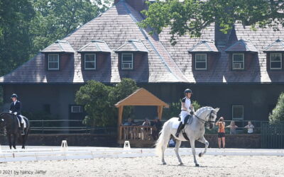 Those Summer Days of dressage in Gladstone