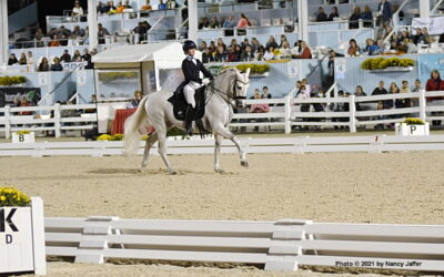 What is the outlook for Dressage at Devon?