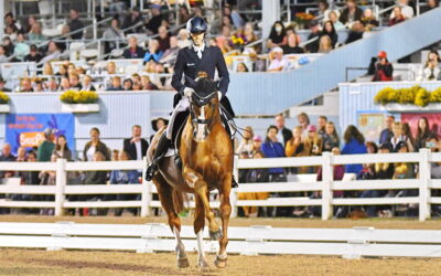 A fantastic night for fans and riders during Dressage at Devon