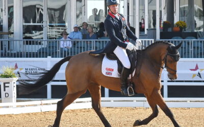 Townend on top at Fair Hill