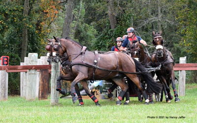 Garden State Combined Driving Event brought two national championships to Horse Park of New Jersey