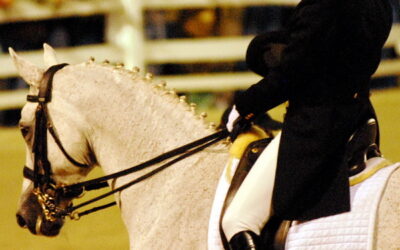 Helgstrand Dressage gets a “name” manager