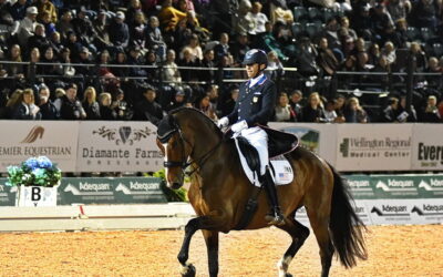What’s the future for dressage in Wellington?