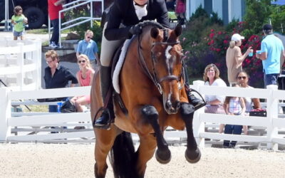 Great news about injured rider Cassandra Kahle!