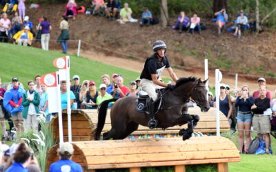 Former eventing superstar Mark Todd suspended from racing