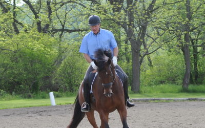 More details on the problems at Michael Barisone’s farm as his trial continues