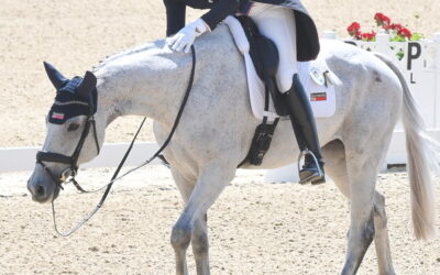 Nothing can stop this tough pair of eventing competitors