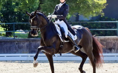 Tarjan and Serenade make the dressage world championships short list