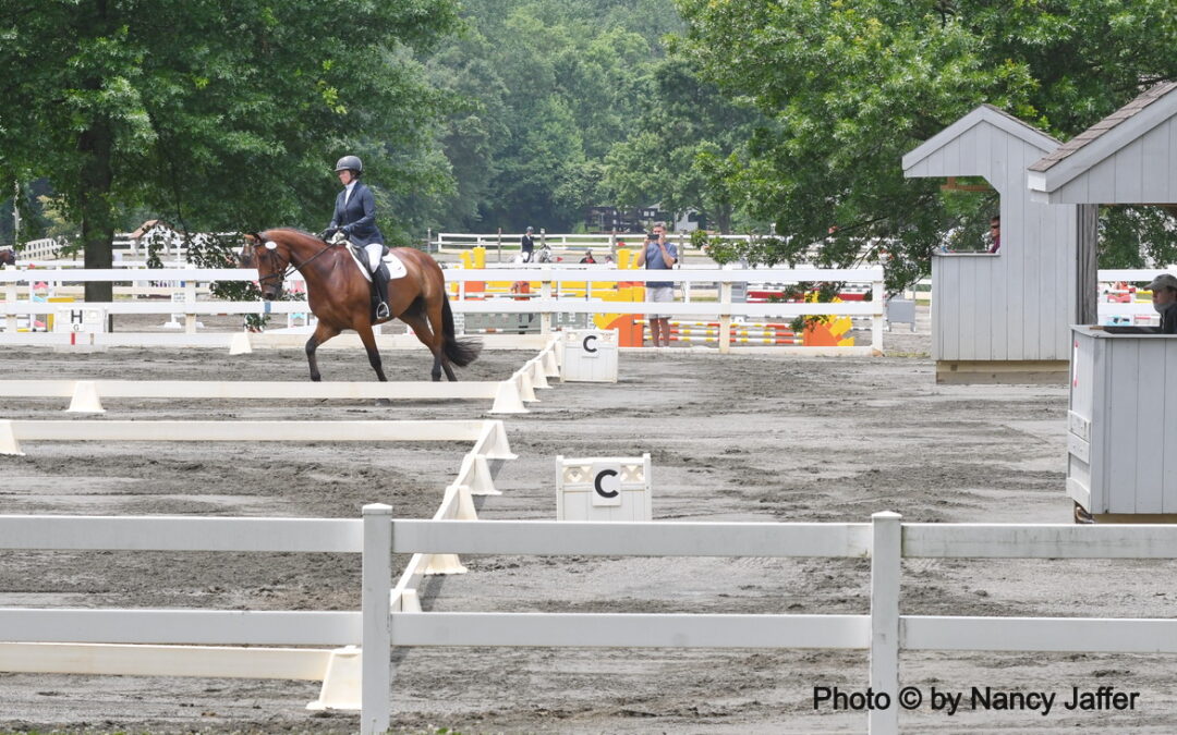 The show (but not the CDI) will go on at the Horse Park