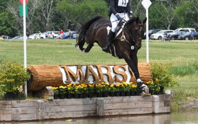 Two venues add up to a great Essex Horse Trials