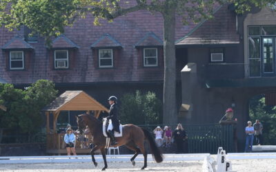 The experience is serene at Summer Days dressage