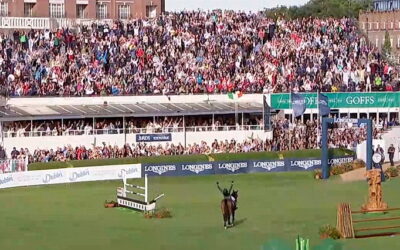 “The stuff of dreams” for Ireland’s show jumpers