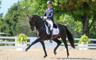 New stars on the horizon as dressage fest wraps up