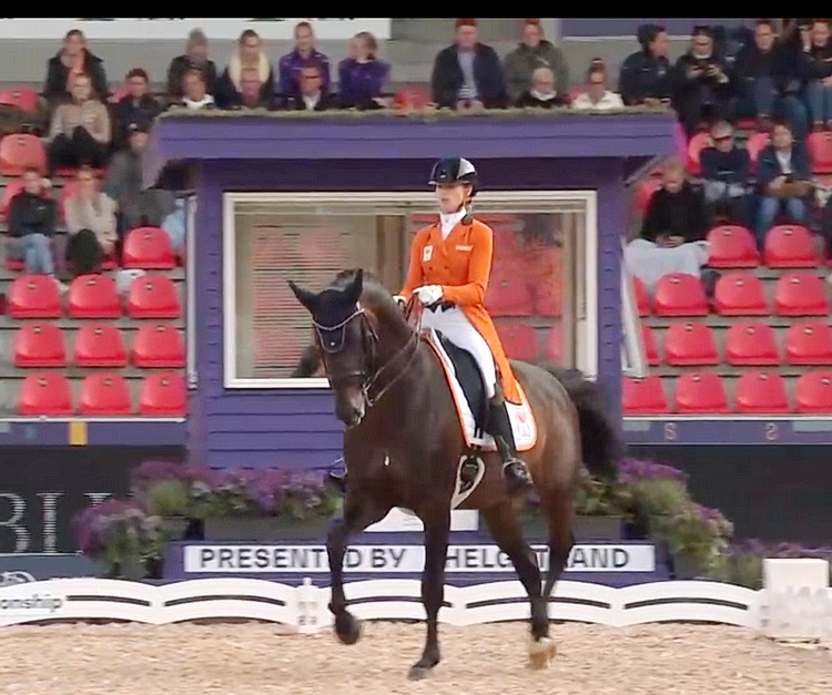 The world’s best in dressage vie for global honors