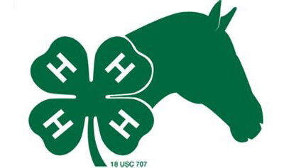 4-H still has a role to play in the horse world
