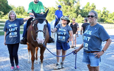 It’s been 50 golden years of therapy and more at Mane Stream