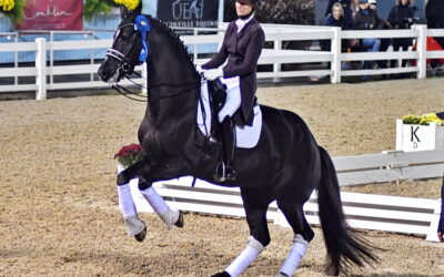 It’s Tarjan again for a Grand Prix sweep at Devon