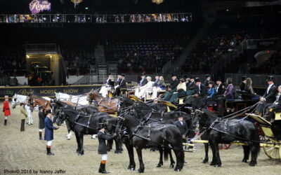 Looking for a different type of horse show?