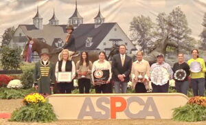 Maclay goes to Iwasaki
