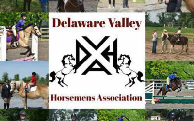 Goodbye to DVHA