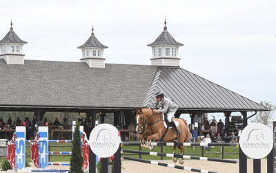 It’s all in the family for an equestrian venture